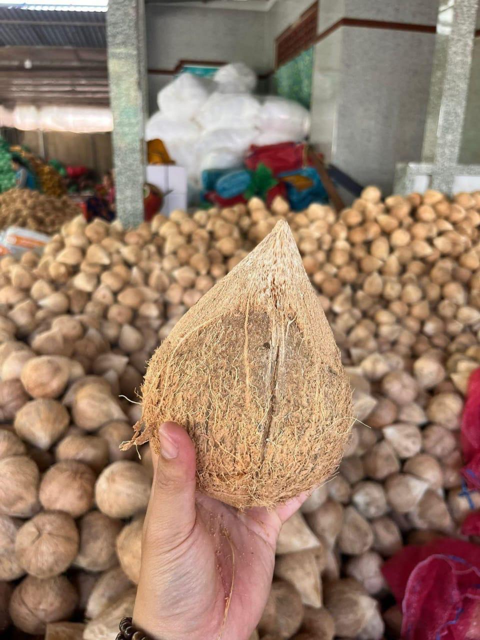 WhatsApp Image 2025-06-03 at 7.24.22 PM (2).jpeg